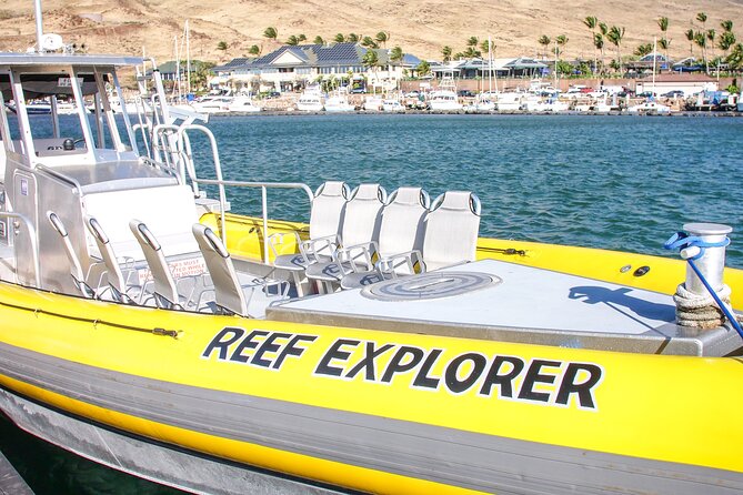 Maui Snorkel Adventure: Molokini Crater and Turtle Cove - Price and Value: What You’re Paying For at $198