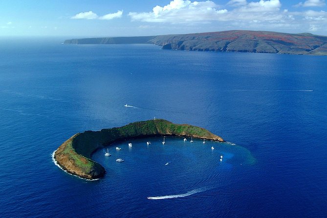 Maui Snorkeling Adventure From Ma'alaea Harbor to Molokini - Getting There the Right Way: Ma’alaea Harbor timing and seating