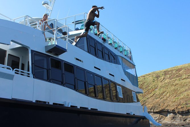 Maui Snorkeling Adventure From Ma'alaea Harbor to Molokini - Wildlife, whales, and the upside of being flexible