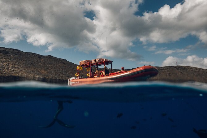 Maui South Coast and Molokini Crater Adventure from Kihei - Why early Molokini from Kihei feels like the real deal