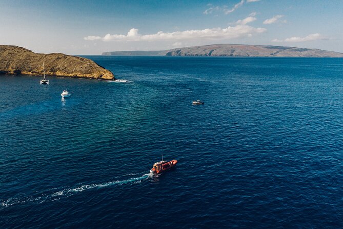 Maui South Coast and Molokini Crater Adventure from Kihei - Marine life odds: what you can realistically expect to see