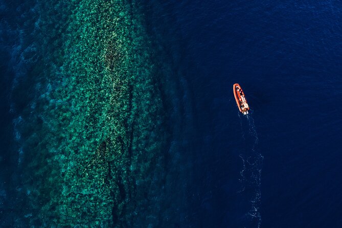 Maui South Coast and Molokini Crater Adventure from Kihei - Who should book this Maui South Coast Molokini adventure