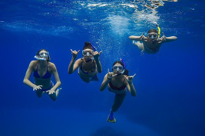 Maui: Turtle Town Snorkel with Photo and Video - How the small crew experience changes your snorkeling day