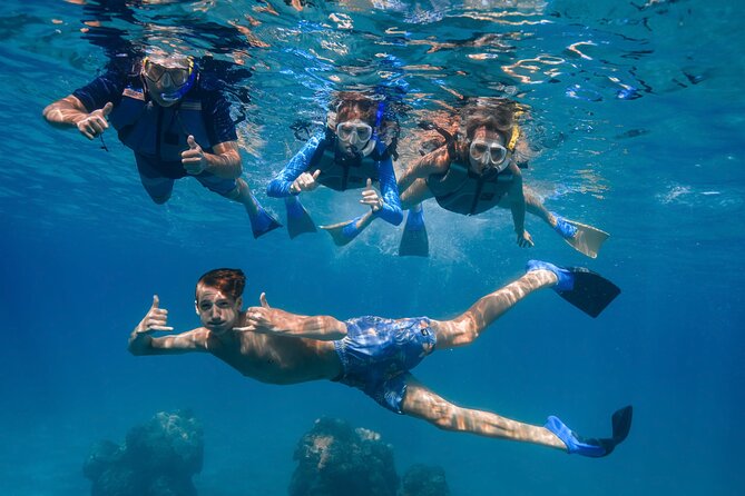 Maui: Turtle Town Snorkel with Photo and Video - Snorkel gear, instruction, and life jackets that actually help