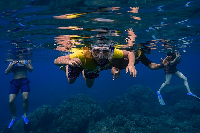 Maui: Turtle Town Snorkel with Photo and Video - Photos and raw video: getting memories without doing extra work