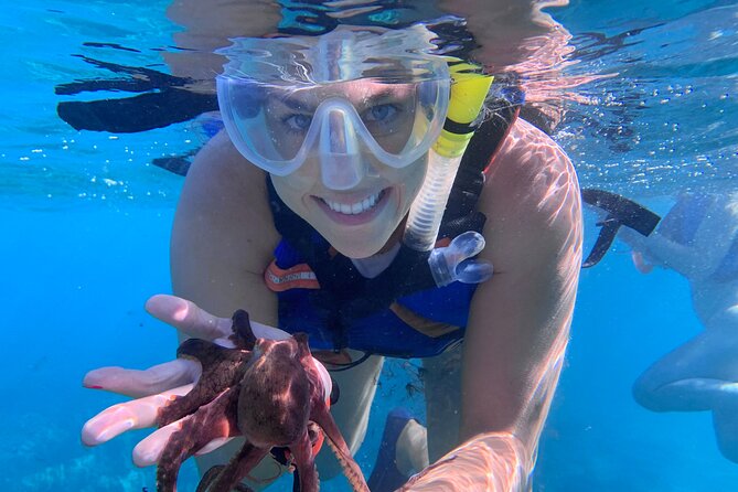 Maui: Turtle Town Snorkel with Photo and Video - When conditions change: be ready for a plan tweak