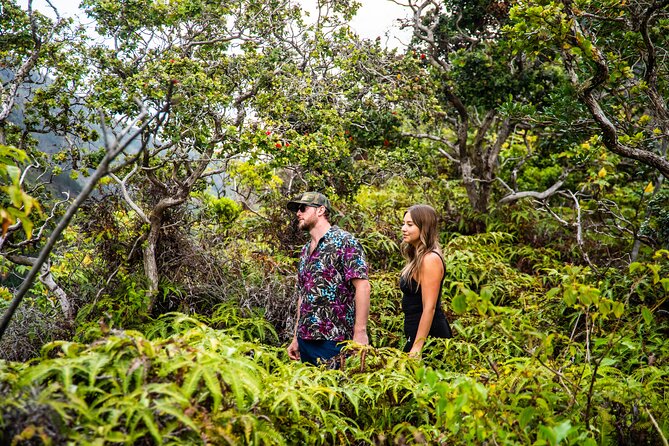 Maui: VIP Private Road to Hana Tour with Pick Up - Pua’a Ka’a State Park: Rainforest Water and a Natural Pool