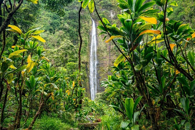 Maui: VIP Private Road to Hana Tour with Pick Up - Wai’anapanapa State Park: Black Sand That Actually Shines