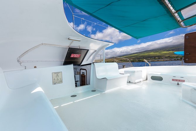 Maui: Whale Watching Cruise with Open Bar from Ka'anapali Beach - Value at $115.85: what’s included and what you should compare