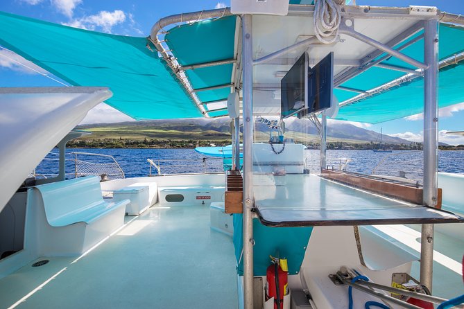 Maui: Whale Watching Cruise with Open Bar from Ka'anapali Beach - Meeting point at Kaanapali Beach Walk: simple, but arrive early