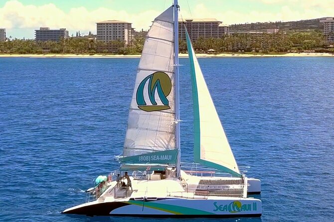 Maui: Whale Watching Cruise with Open Bar from Ka'anapali Beach - Sea Maui seating: bean bags on open nets and the splash zone