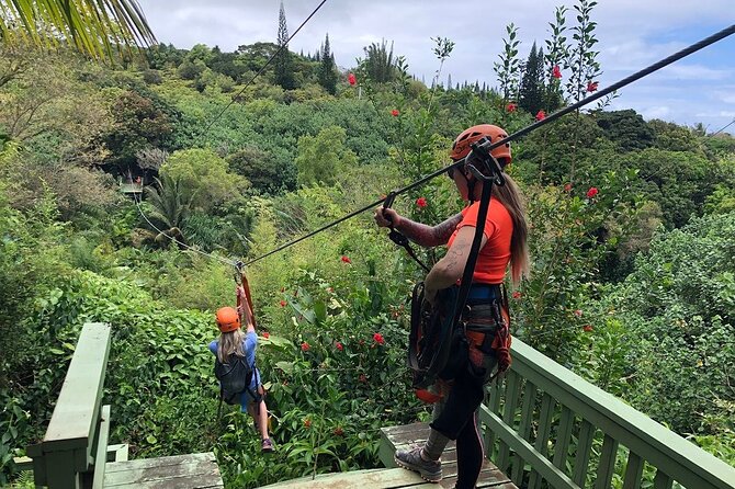 Maui Zipline Eco Adventure: 8 Lines through the Jungle - Key things to know before you go