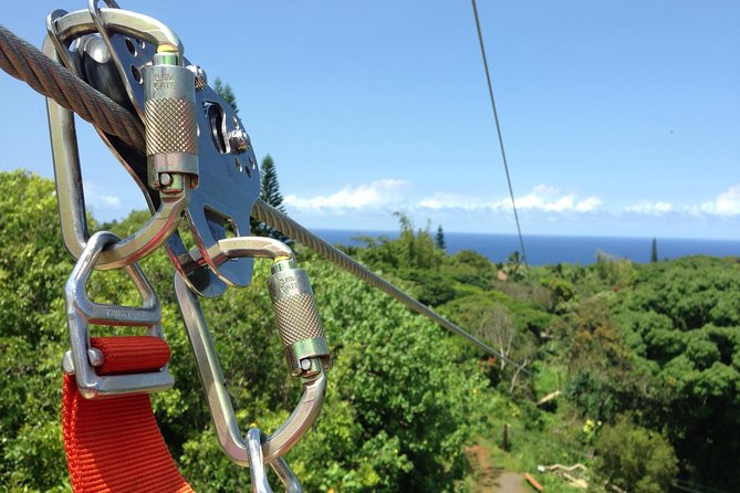 Maui Zipline Eco Adventure: 8 Lines through the Jungle - The course experience: eight lines, three platforms, and multiple bridge styles