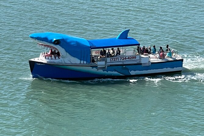 Mega Bite Dolphin Tour Boat in Clearwater Beach - Key Highlights You Should Know