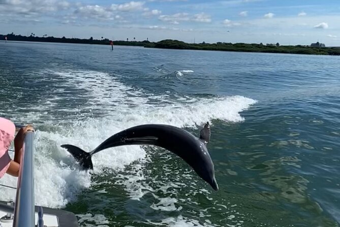 Mega Bite Dolphin Tour Boat in Clearwater Beach - Price and Value: Is $28 Worth It?