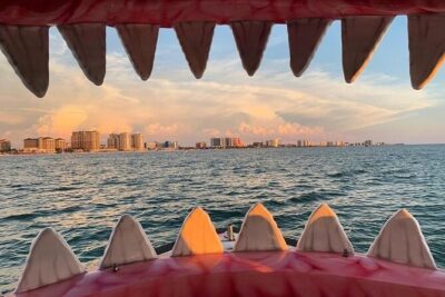 Mega Bite Dolphin Tour Boat in Clearwater Beach - The Shark-Themed Boat: Comfort First, Fun Second