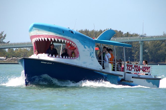 Mega Bite Dolphin Tour Boat in Clearwater Beach - Who This Tour Fits Best (and Who Might Feel Let Down)