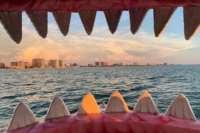 Mega Bite Dolphin Tour Boat in Clearwater Beach - The Shark-Themed Boat: Comfort First, Fun Second