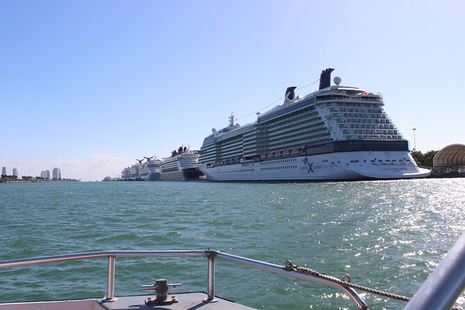 Miami Boat Tour of Celebrity Homes - The Port Scenery Moment: Big Ships, Gantry Cranes, and a Different Side of Miami