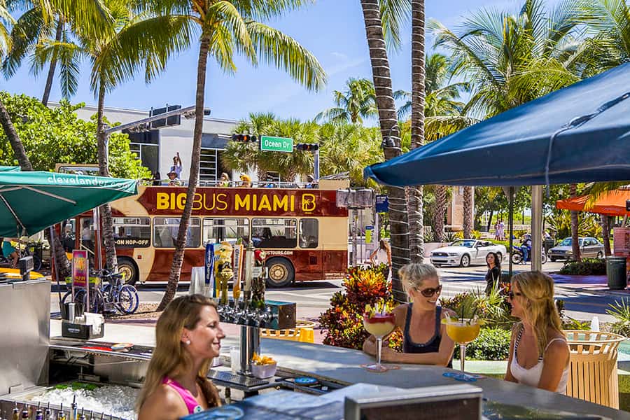 Miami: Everglades Experience, Bay Cruise & Open-top Bus Tour - A Three-Part Miami Ticket That Covers Real Ground