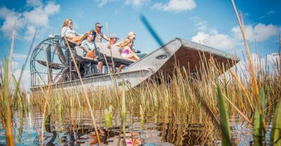 Miami: Everglades National Park Airboat Tour & Wildlife Show - The Everglades You’ll Hear About: River of Grass Habitat in Plain English
