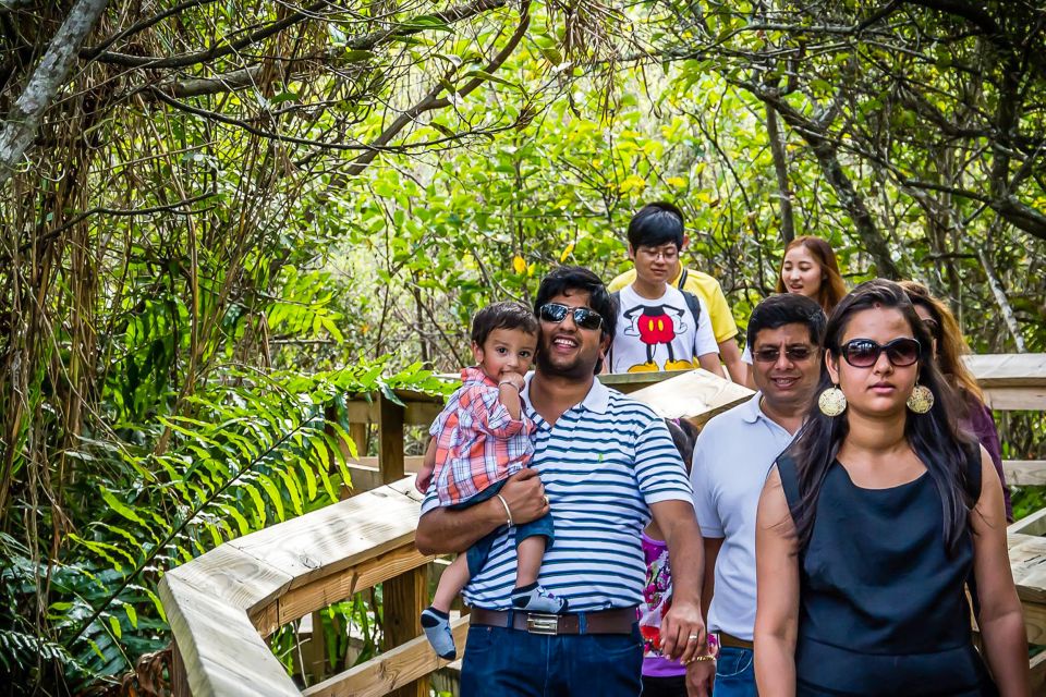Miami: Everglades Safari Park Airboat Tour - Wildlife spotting: alligators and the reality of animal timing