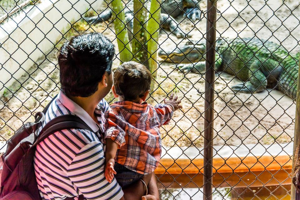 Miami: Everglades Safari Park Airboat Tour - Comfort, rules, and what to bring (so the ride feels easy)