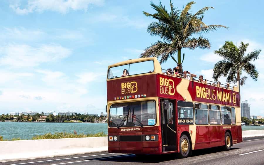 Miami: Hop-on Hop-off Sightseeing Tour with Optional Cruise - Getting started at 333 Biscayne Blvd (your smooth first move)