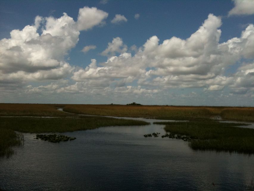 Miami: Original Everglades Airboat Tour & Interpretive area - The Alligator Exhibit and Animal Show: Worth It Even If You’re Here for the Boat