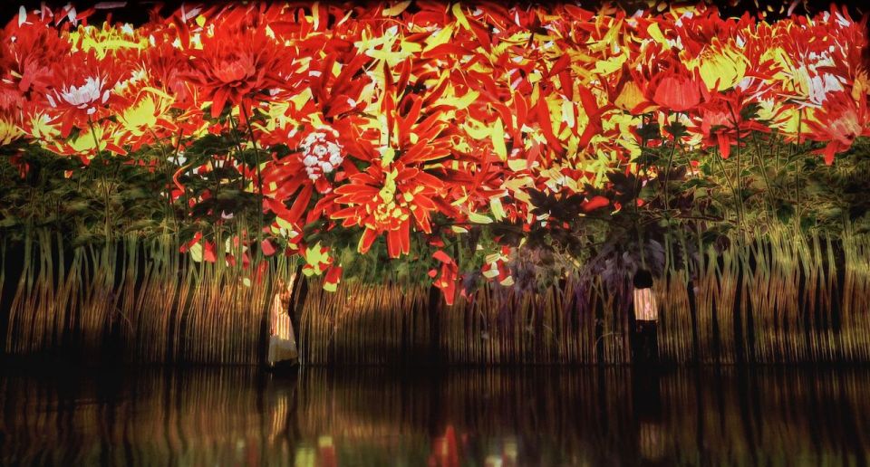 Miami: 'Superblue Miami' Immersive Art Experience Ticket - The Optional Massless Clouds Moment (And Why the Poncho Matters)