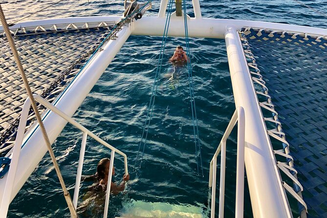 Moana’s Waikīkī Grand Guided Turtle Snorkel & Sailing Adventure - The Waikiki Coast Cruise: Diamond Head Views and a Real Break From Land
