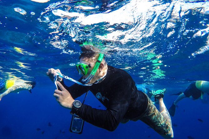 Molokini and Turtle Arches Snorkeling Trip from Ma'alaea Harbor - Gear, instruction, and the reef rules that protect your snorkeling