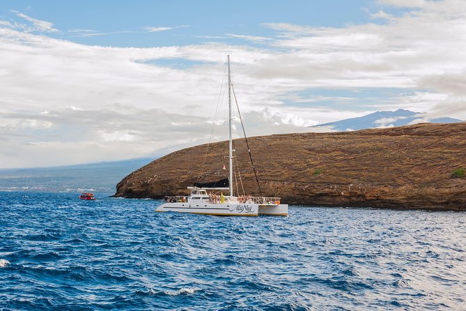 Molokini and Turtle Arches Snorkeling Trip from Ma'alaea Harbor - Who this trip suits best (and who might want a different plan)
