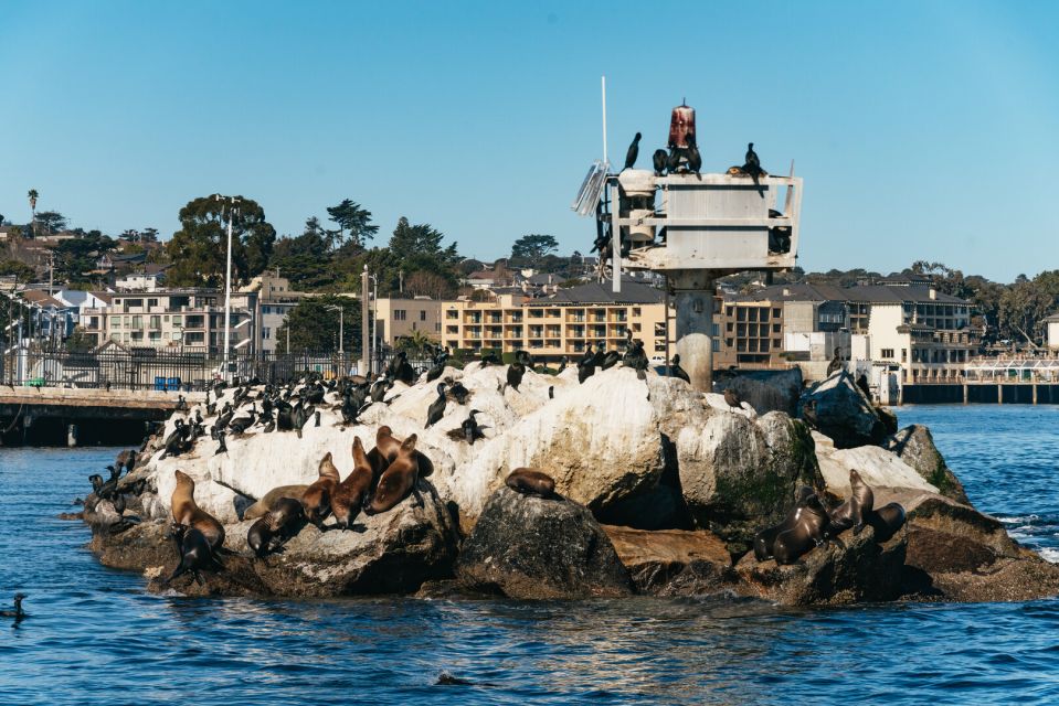 Monterey Bay: Whale Watching Tour - Quick hits before you go