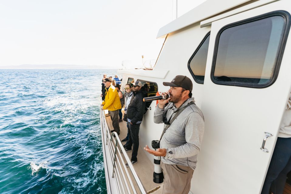 Monterey Bay: Whale Watching Tour - Price and value: does $75 buy you a worthwhile Monterey morning or afternoon?