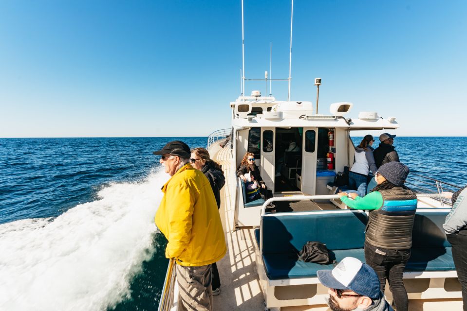 Monterey Bay: Whale Watching Tour - Why Monterey Bay is a whale-watching standout (and why you should care)