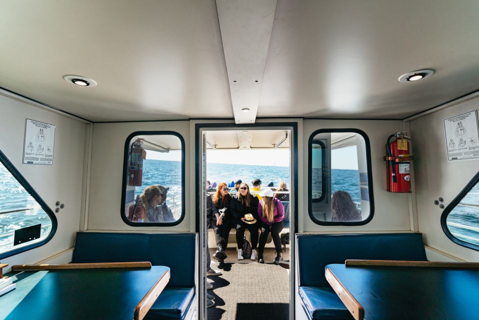 Monterey Bay: Whale Watching Tour - Boat size, viewing angles, and how to get your best seat