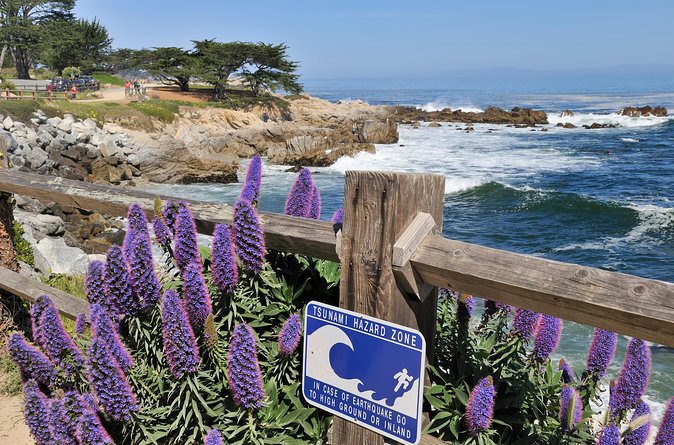 Monterey, Carmel and 17-Mile Drive: Full Day Tour from SF - Pebble Beach Golf Links: A Peek at the World’s Most Famous Tees
