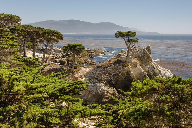 Monterey, Carmel and 17-Mile Drive: Full Day Tour from SF - Carmel-by-the-Sea: Carmel Plaza Time and What You Can Realistically Do