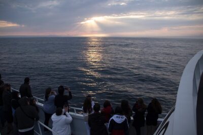 Monterey Whale Watching Tour - Fisherman’s Wharf start: timing and how the 2–3 hours typically play out