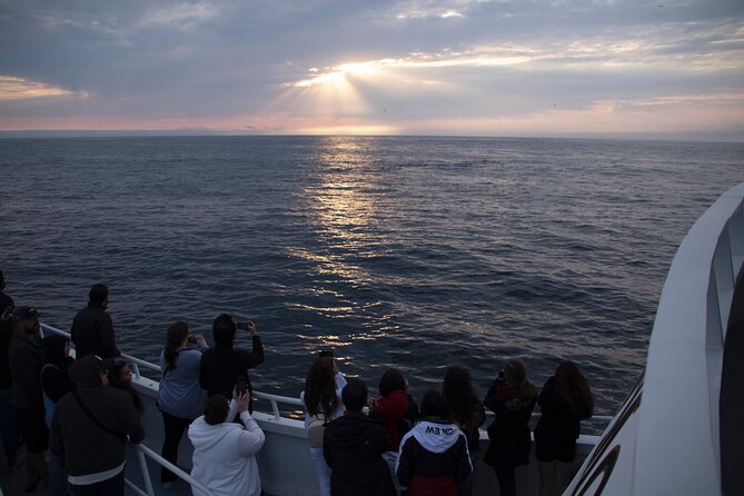 Monterey Whale Watching Tour - Fisherman’s Wharf start: timing and how the 2–3 hours typically play out