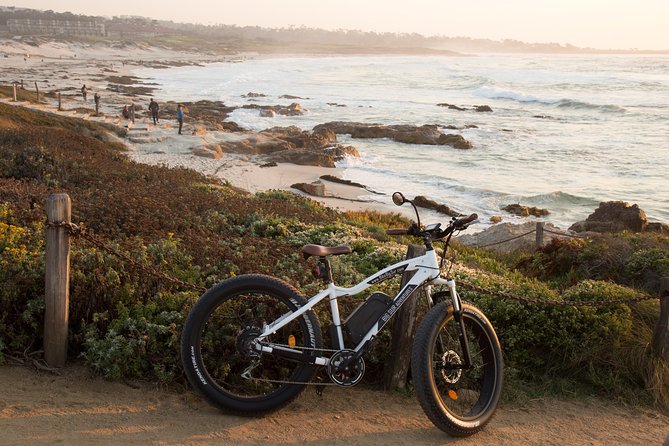 Monterey's 17 Mile Drive Guided Electric Bike Tour, 3 hr - Spanish Bay to Bird Rock Vista: history, wildlife, and short photo stops