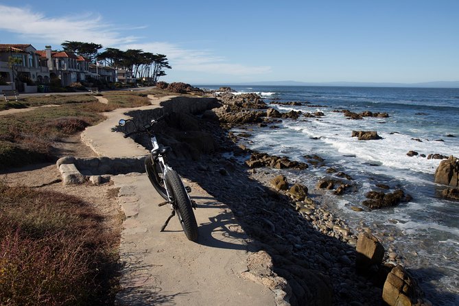 Monterey's 17 Mile Drive Guided Electric Bike Tour, 3 hr - Lone Cypress and Cypress Point Lookout: the classic photo line, timed right