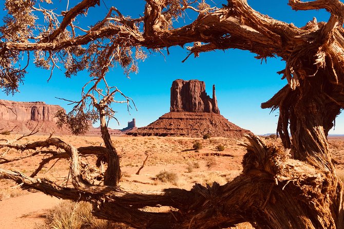 Monument Valley Extended Backcountry Tour - The Hogan Visit and Rug-Weaving Demonstration: More Than a Stop Photo