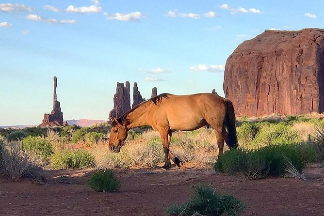 Monument Valley Group Tour - 3 Hours - Navajo Spirit Tours - Who Should Book This Tour (and Who Might Feel It Isn’t For Them)