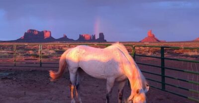Monument Valley: Horseback Adventure Tour - The ride length: 30 to 60 minutes and how to make it count