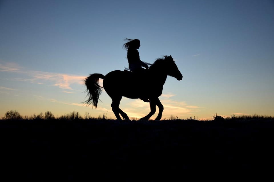 Monument Valley: Horseback Adventure Tour - How the horses change everything: trained, matched, and ready for beginners