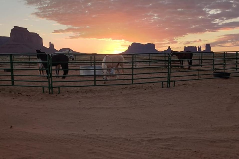 Monument Valley: Horseback Adventure Tour - Guide style: history, safety, and real-world horse coaching