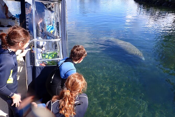 Most Popular 3hr Manatee Swim Tour + In-Water Guide! - Photos and the murk factor: should you buy the package?