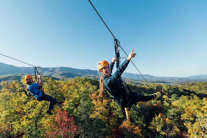 Mountaintop Zipline 2-Hours Activity - Safety First, Fear Welcome: How the Dual-Line Setup Works